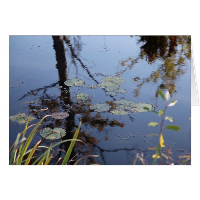 Cartão A natureza é uma língua... (Frente Horizontal)