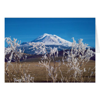 Cartão A natureza fala a imagem da capa do livro