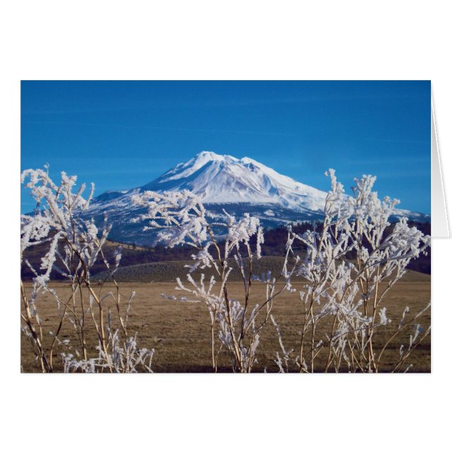 Cartão A natureza fala a imagem da capa do livro (Frente Horizontal)