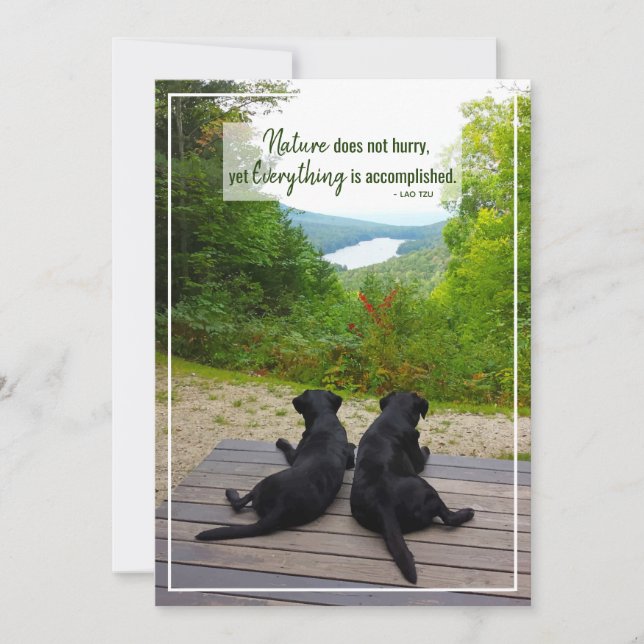 Cartão A Natureza Não Apressa A Citação Da Vida Inspirati (Frente)