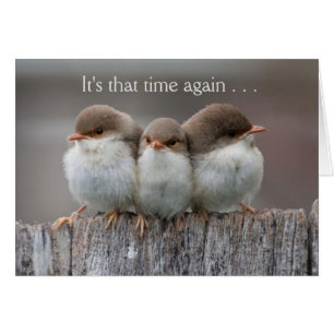 Cartão A noite engraçada das meninas para fora carda