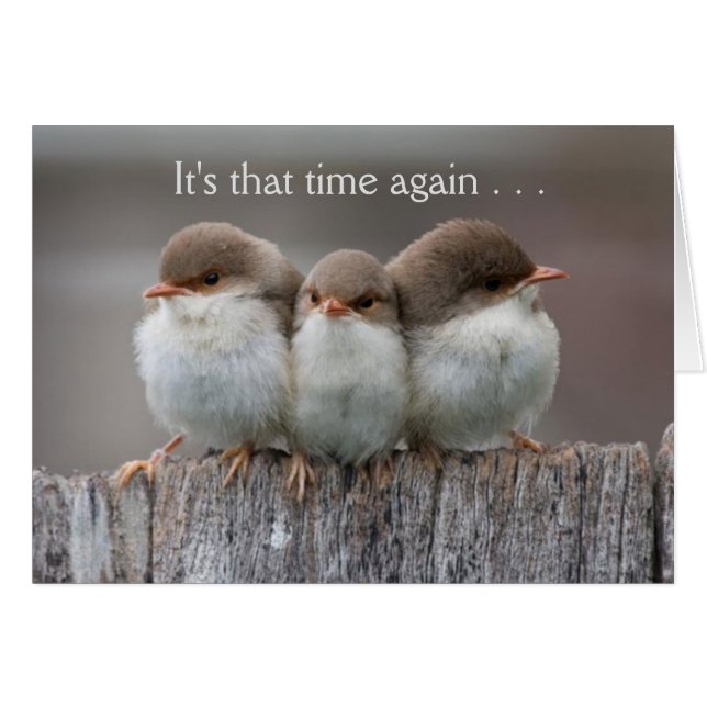 Cartão A noite engraçada das meninas para fora carda (Frente horizontal)