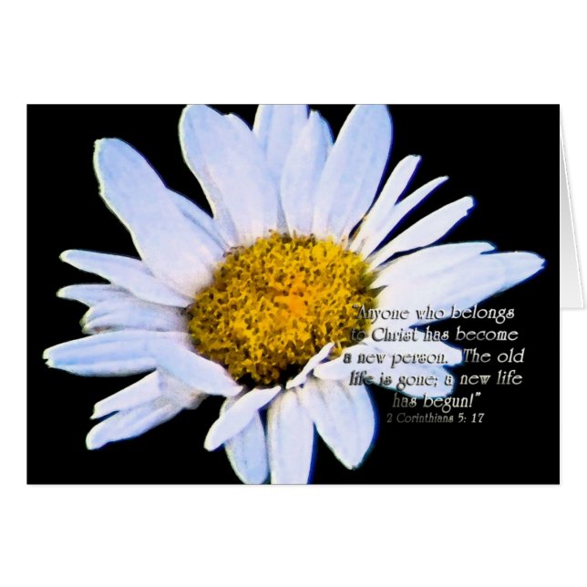 Cartão A nova vida começouZazzle (Frente horizontal)