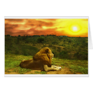 Cartão A opinião do leão