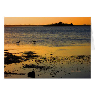 Cartão "A Ouro Sunset" em Dunedin, Flórida