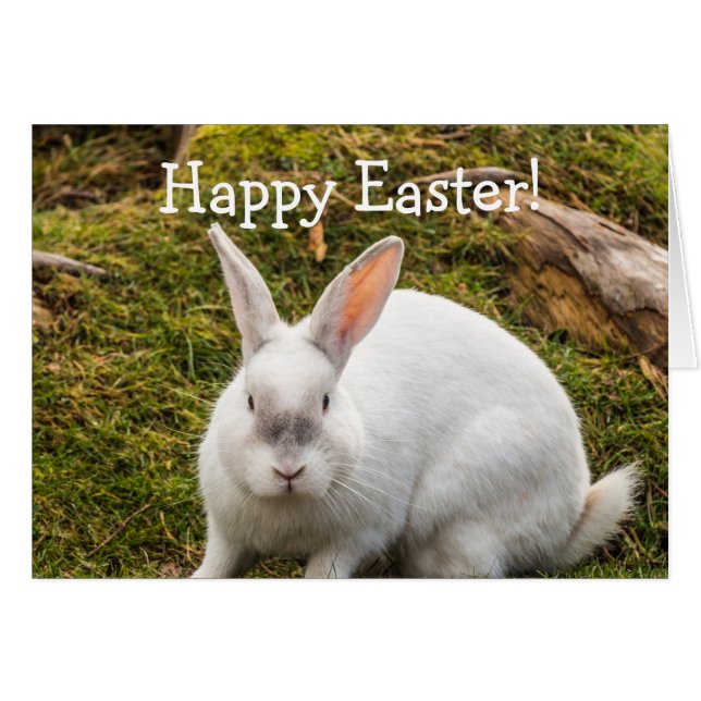 Cartão A Páscoa do Coelho Branco (Frente Horizontal)