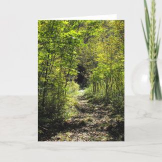 Cartão A Path In The Woods- Greeting Card