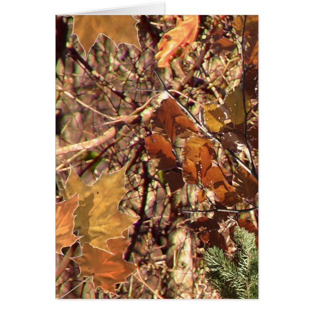 Cartão A Pintura Da Camuflagem Da Floresta Hunter Persona (Frente)