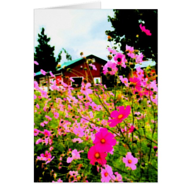 Cartão A pintura da Fazenda da ventoinha (Frente)