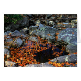 Cartão A Piscina do Ouro