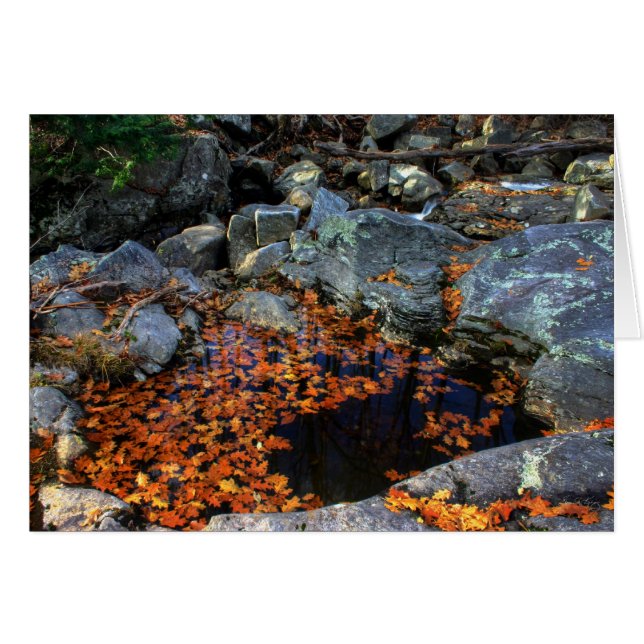 Cartão A Piscina do Ouro (Frente Horizontal)