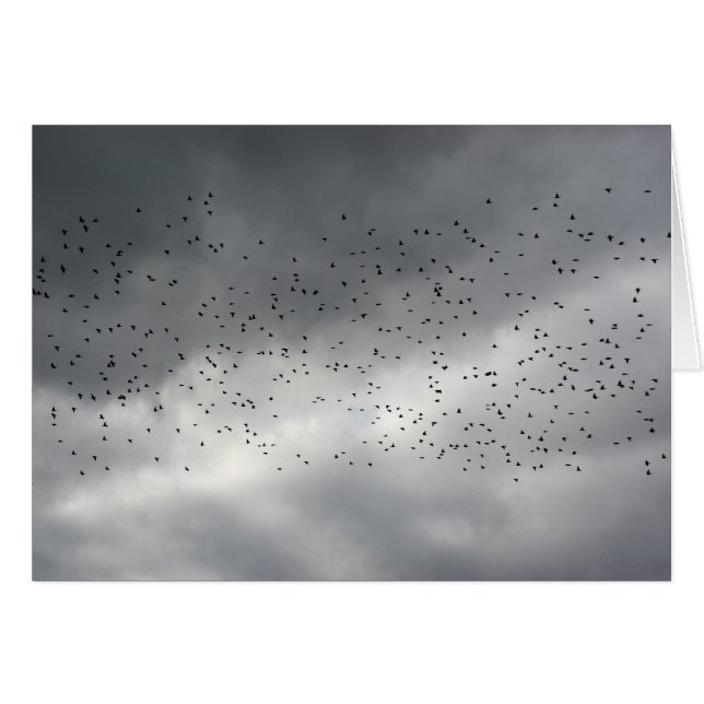 Cartão A Placa de Relógio (Frente Horizontal)