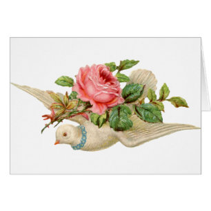 Cartão A pomba do vintage e aumentou