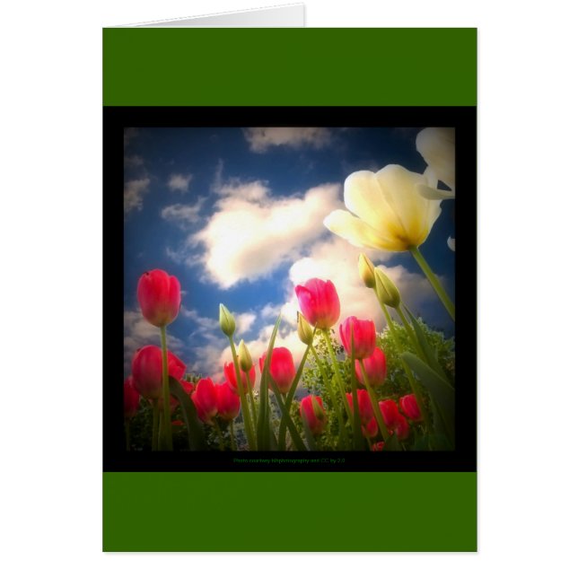 Cartão A primavera floresce a coleção mim (Frente)