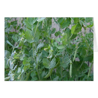 Cartão A princesa e a ervilha