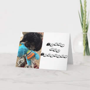 CARTÃO A PUPPY COM BRINQUEDOS DIZ QUE VOCÊ ESTÁ RODANDO *