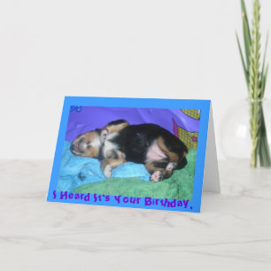 Cartão a pups hard day, I Heard It's Your Birthday,