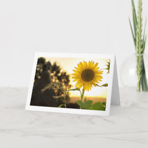 CARTÃO A QUEDA ESTÁ AQUI E O AGRADECIMENTO ESTÁ PERTO