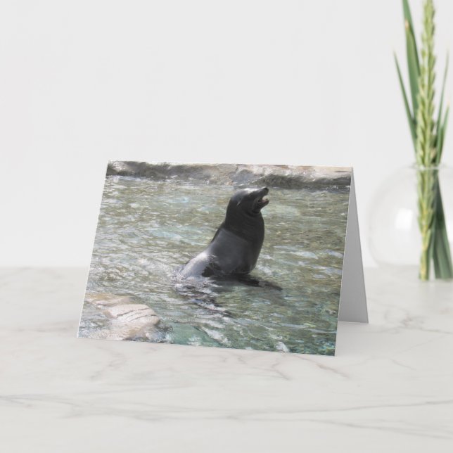 Cartão A saudação do foca rindo (Frente)