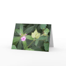 A simplicidade é a última citação de sofisticação