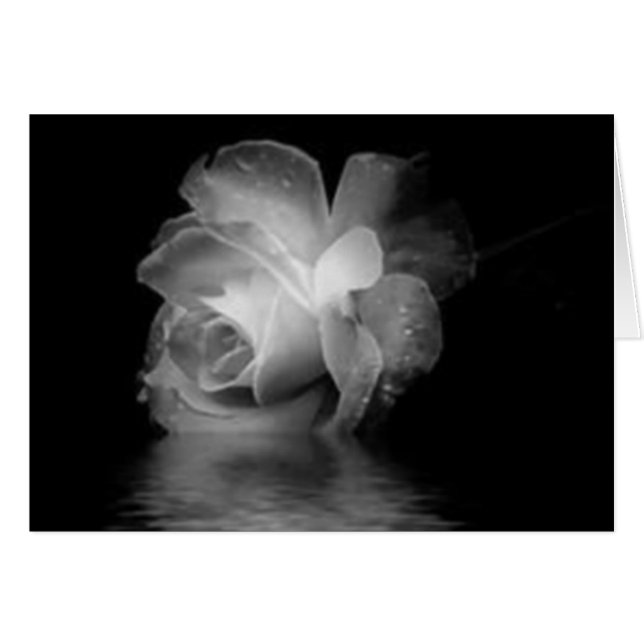 Cartão A sombra preta aumentou (Frente Horizontal)