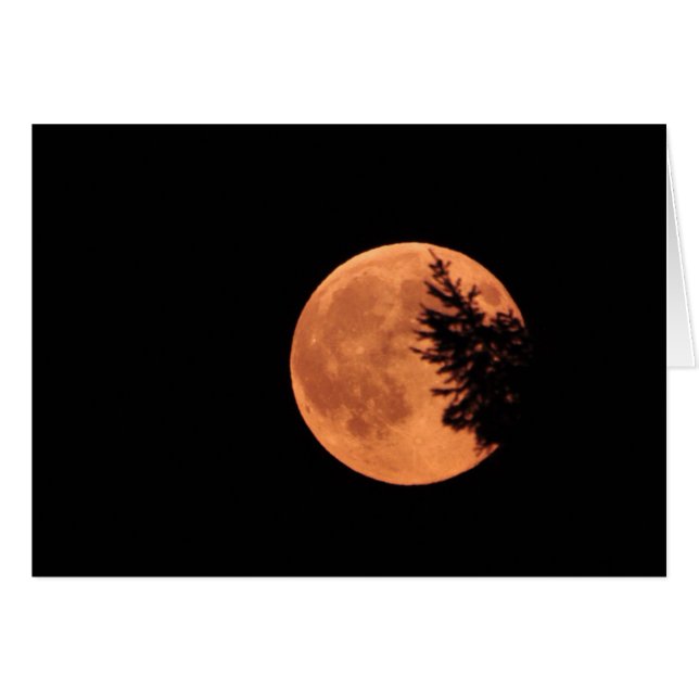 Cartão A Super Lua! (Frente Horizontal)