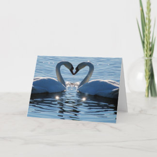 Cartão A Swan Heart Kiss, Reflections of Love