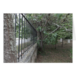 Cartão A terra de enterramento velha