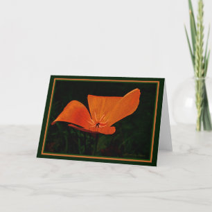 Cartão A terra ri nas flores: Papoila.  Citações intern