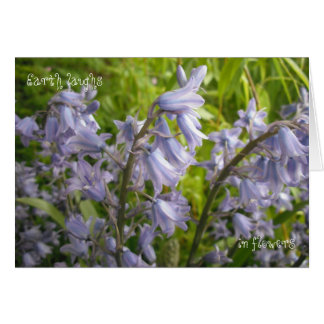 Cartão A Terra Ri Nas Flores - Placa De Vazio