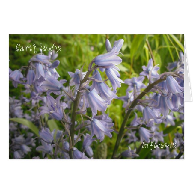 Cartão A Terra Ri Nas Flores - Placa De Vazio (Frente Horizontal)