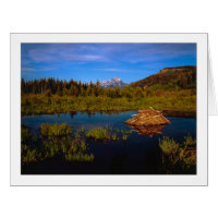 "A Teton Summer"