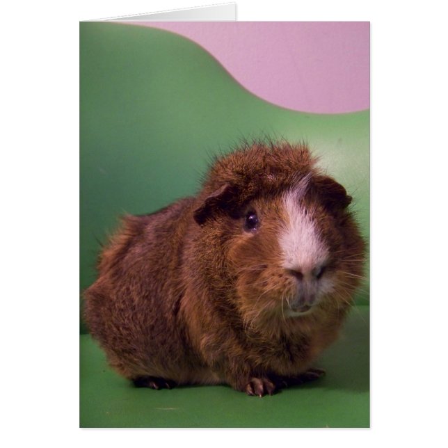 Cartão A um senhor distinto (Frente)