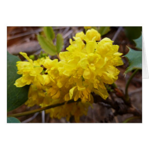 Cartão A uva de Oregon floresce Wildflowers amarelos