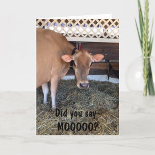 CARTÃO A VACA PERGUNTA "VOCÊ DISSE MOO?"/AMO VOCÊ TAMBÉM.