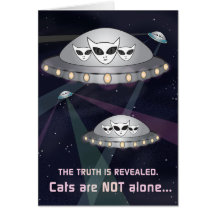 A Verdade É Revelada: Os Gatos Não Estão Sozinhos!