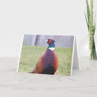 Cartão A Very Pleasant Pheasant Greetings Card