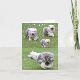 Cartão A Vida Acontece!