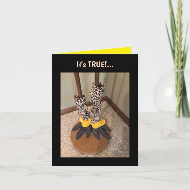 Cartão A vida é muito curta...Cartão de saudação dobrado (Frente)