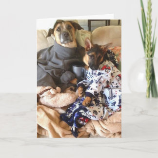 Cartão A vida é pavão-do-mar