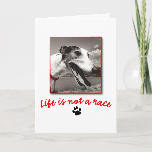 Cartão A vida não é uma corrida (Frente)