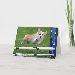 CARTÃO A WINK AND A WAVE AGILITY CORGI