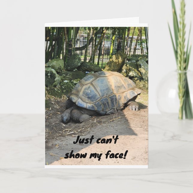 CARTÃO * ABAIXO* ANIVERSÁRIO DA TARTARUGA LAZY (Frente)