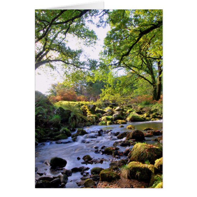 Cartão 'Abaixo Pelo Rio' (Frente)