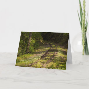 Cartão Abandoned Railroad In A Forest