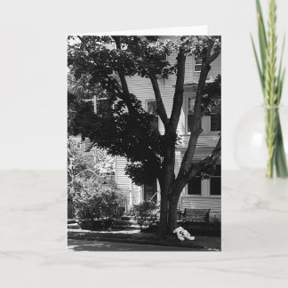 Cartão Abandoned Stuffed Teady Bear Under Tree