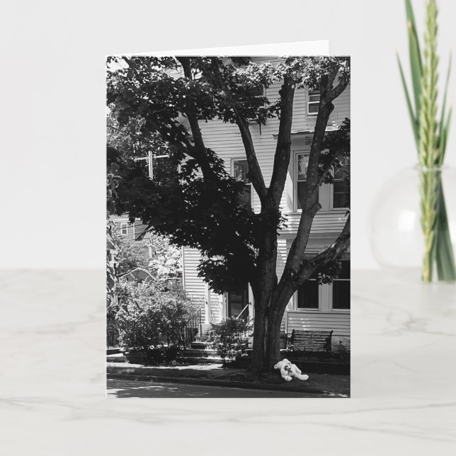 Cartão Abandoned Stuffed Teady Bear Under Tree  (Frente)