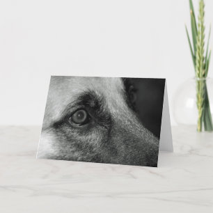 Cartão Abby German Shephed Watchful Vazio Card