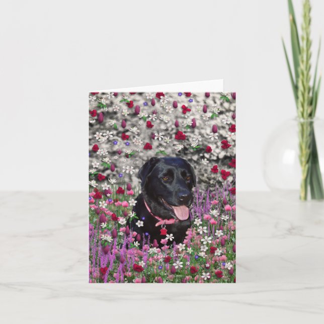 Cartão Abby in Flowers – Black Lab Dog (Frente)