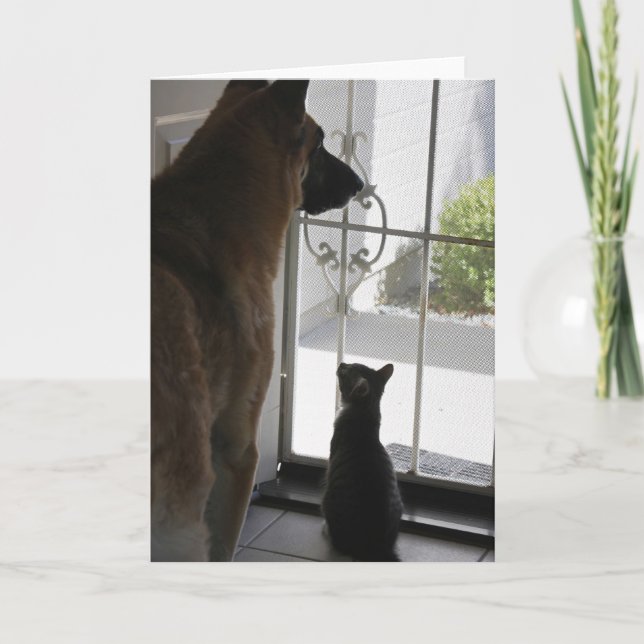 Cartão Abby With Zorro At Front Door Blank Greeting Card (Frente)